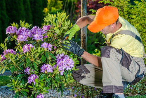 Logo concept for Gardener Brent Cross