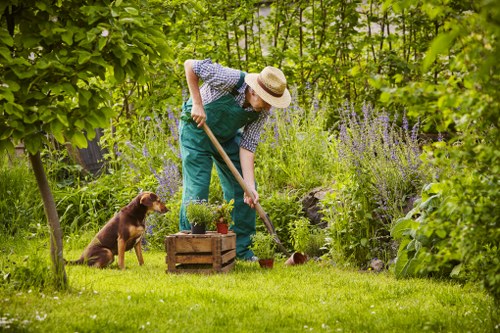Garden clearance equipment and sorted green waste in Brent Cross