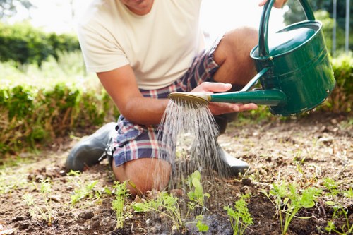 Seasonal lawn care tips for Brent Cross