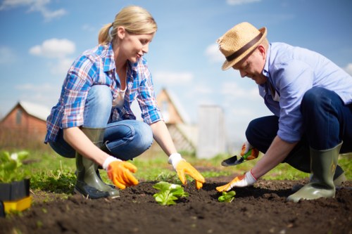 Close-up of a gardener's hands arranging plants, highlighting clear labels and alt text practice