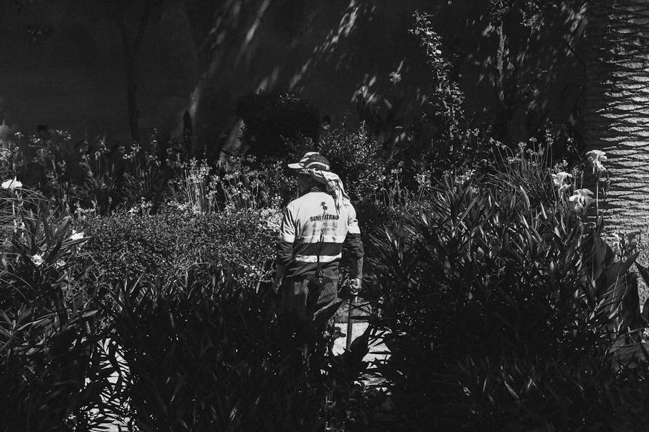 A gardener working at night in a densely planted garden bed on Cricklewood Broadway, surrounded by a variety of plants, including tall, leafy shrubs and blooming flowers. The gardener, wearing a jacke