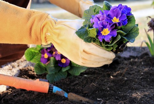 Brent Cross tending to a vibrant garden